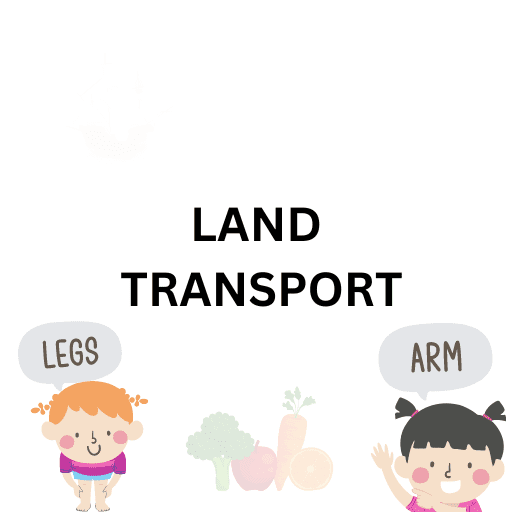 Land Transport